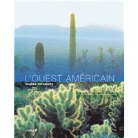 L'Ouest Américain NED