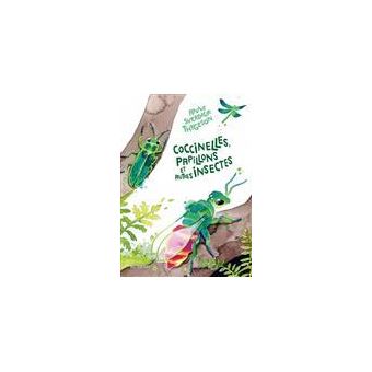 Coccinelles, papillons et autres insectes