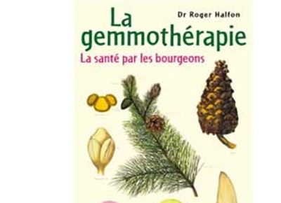 Découvrez la gemmothérapie, la médecine des bourgeons
