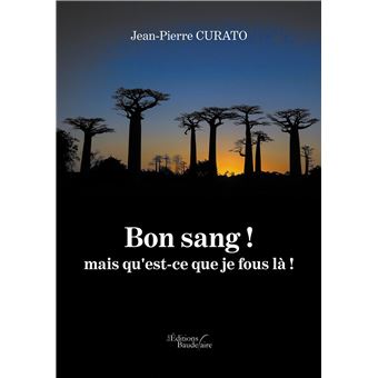 Bon sang ! mais qu'est-ce que je fous là !