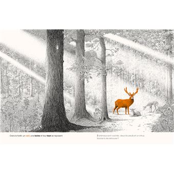 Dans la forêt