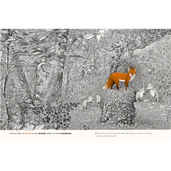 Dans la forêt