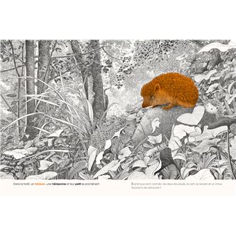 Dans la forêt