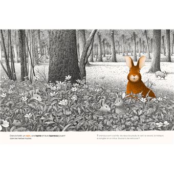Dans la forêt