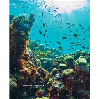 La belle vie Sailing