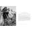 Romanesque En images_1