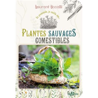 Plantes sauvages comestibles