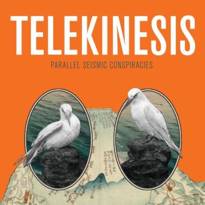 Parallel seismic conspiracies