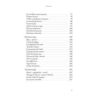 Guérir avec l'aigle - Accueillir, comprendre et traverser les épreuves de la vie