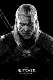 Poster The Witcher Toxicity Poisoning