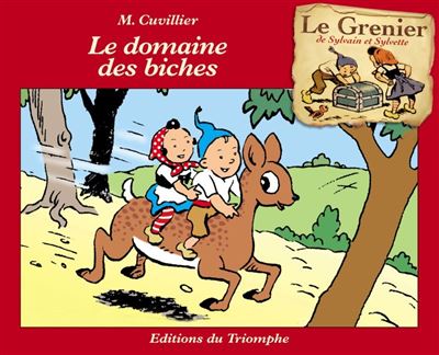 Le grenier de Sylvain