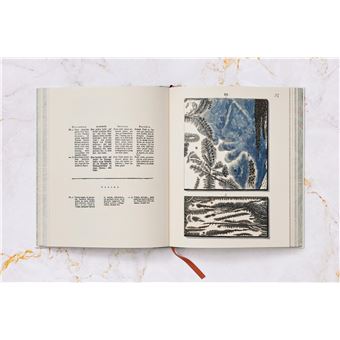 Jan Christiaan Sepp. The Book of Marble