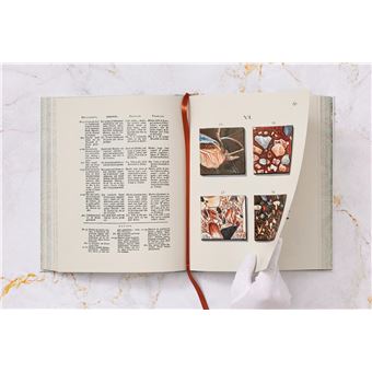 Jan Christiaan Sepp. The Book of Marble