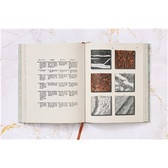 Jan Christiaan Sepp. The Book of Marble