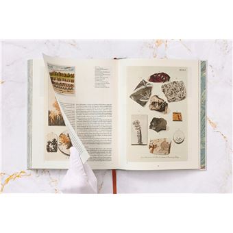 Jan Christiaan Sepp. The Book of Marble