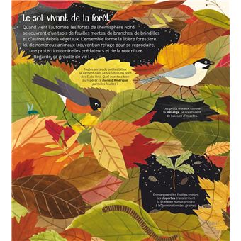Les petits mondes de la terre