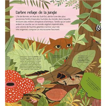 Les petits mondes de la terre