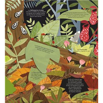 Les petits mondes de la terre