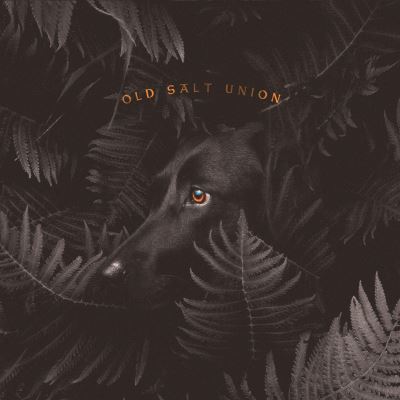 Where The Dogs Don’t Bite