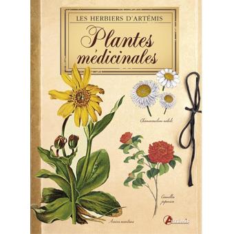 Plantes médicinales - 1