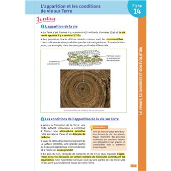 Objectif crpe - 100 fiches efficaces pour bien réviser - sciences et technologie