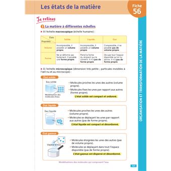 Objectif crpe - 100 fiches efficaces pour bien réviser - sciences et technologie