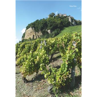 Alsace et Franche-Comté