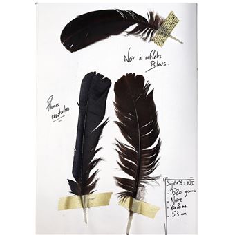 Le Recueil du Fauconnier