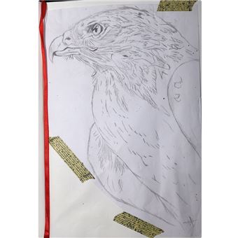 Le Recueil du Fauconnier