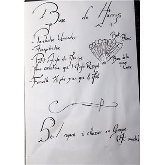 Le Recueil du Fauconnier