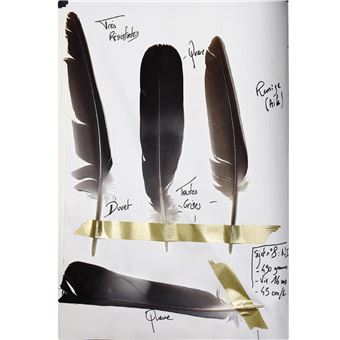 Le Recueil du Fauconnier