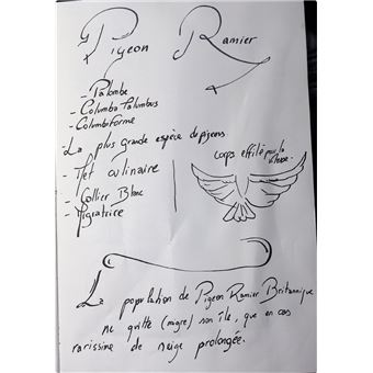 Le Recueil du Fauconnier