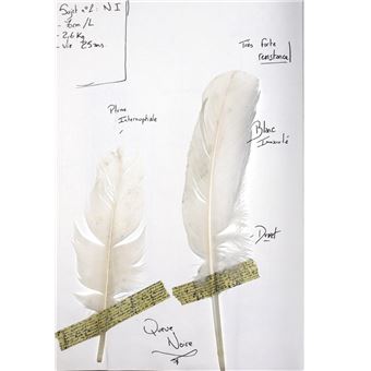 Le Recueil du Fauconnier