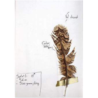 Le Recueil du Fauconnier