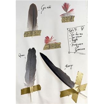 Le Recueil du Fauconnier