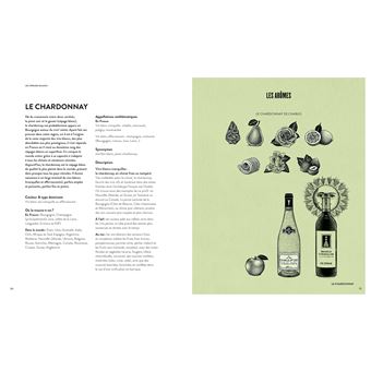 Le vin en 70 cépages