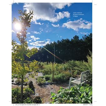 Je me soigne avec les plantes sauvages