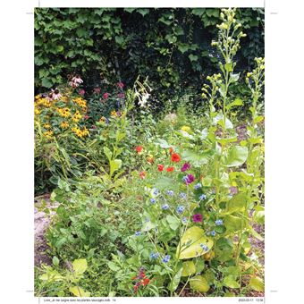 Je me soigne avec les plantes sauvages