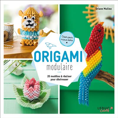 Origami modulaire 3D