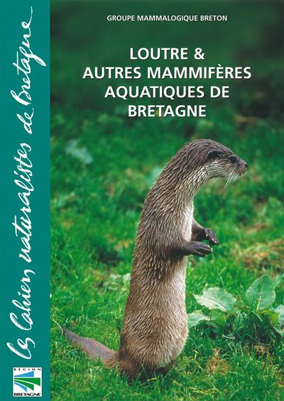Loutres et autres mammifères aquatiques de Bretagne