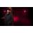 The StrainThe Strain Saison 2 Coffret DVD_3