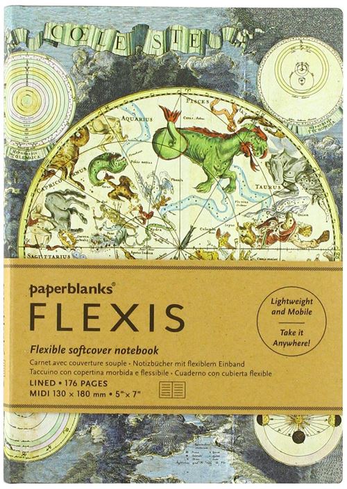 Carnet ligné Paperblanks Planisphère Midi Céleste