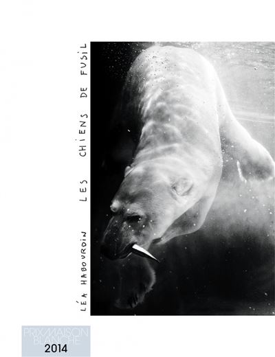 Les chiens de fusil - prix maison blanche 2014