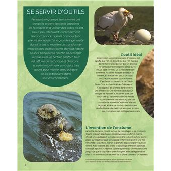 Les animaux très malins