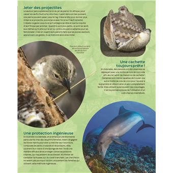 Les animaux très malins
