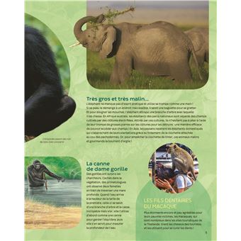 Les animaux très malins