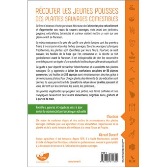 Récolter les jeunes pousses des plantes sauvages comestibles - En toute confiance, sans risque de confusion !