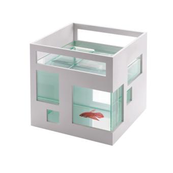 Aquarium Fish Hotel blanc Umbra - 1