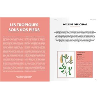 Ilots exotiques