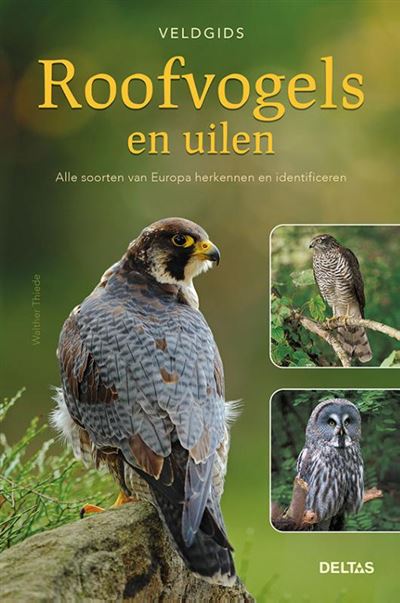 Veldgids roofvogels en uilen